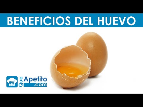 Video: Huevo de faisán: propiedades y fotos útiles