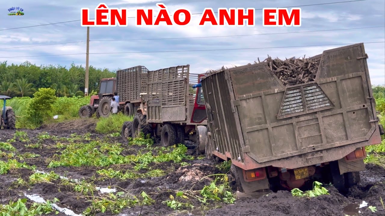 Đúng xe đậu trên bờ có thế thiệt kéo cái là lên luôn