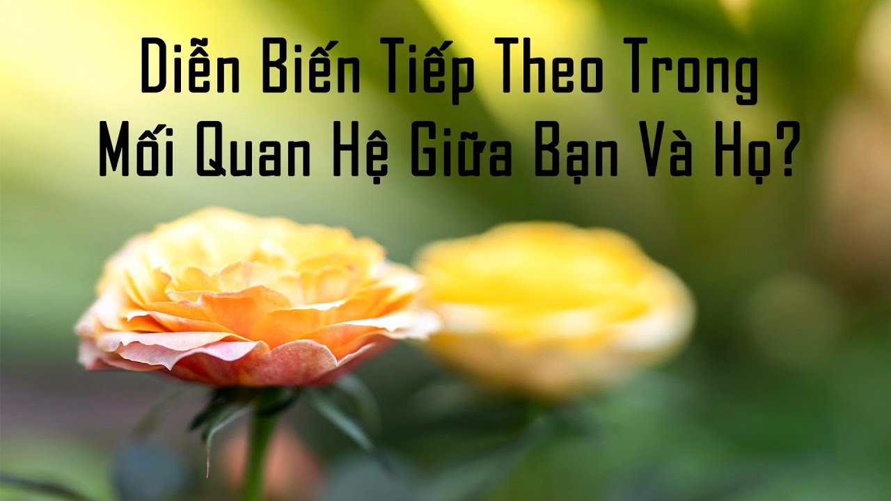 Diễn Biến Tiếp Theo Trong Mối Quan Hệ Giữa Bạn Và Họ?