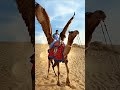 Jadui uth 😰😯||zoya sheikh #shorts #youtube #zoyasheikh