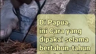 Buat Api zaman dahulu di papua | Tradisional