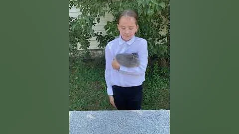 Beginner Rabbit Showmanship