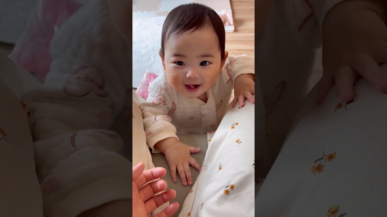 朝からエンジン全開のぴのちゃん☀️ママに近づいてぱくっ、かわいい