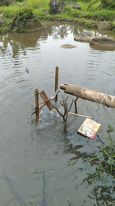 alat musik tradisional #shortvideo #sawah @Chekolasvio