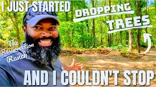 I May Actually Be Able To Pull This Off!!! | Reclaiming Our 100 + Year Old Hardwood Forest