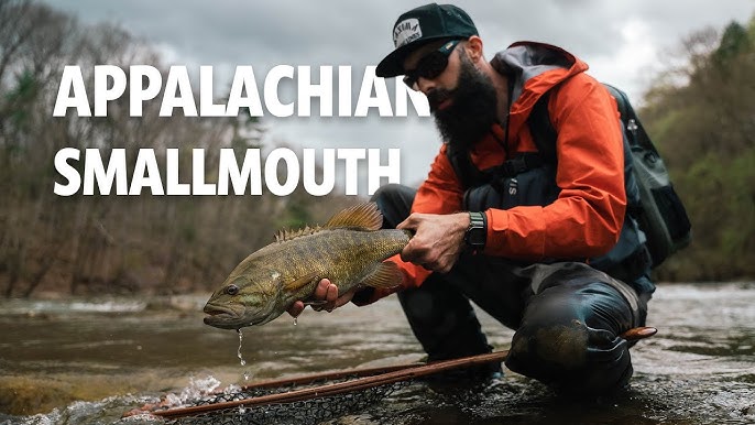 CREEK Fly Fishing for Smallmouth Bass