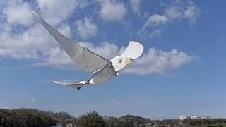 300FPS FUSHIMI BIRD 羽ばたき飛行機 - YouTube