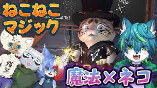 【ねこねこマジック】魔法×ネコ協力アドベンチャー　ねごのくコラボ（meowgic）