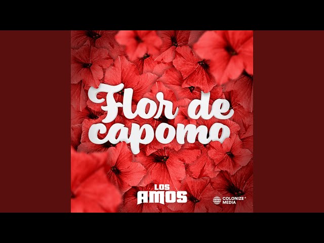 Los Amos - Flor de Capomo