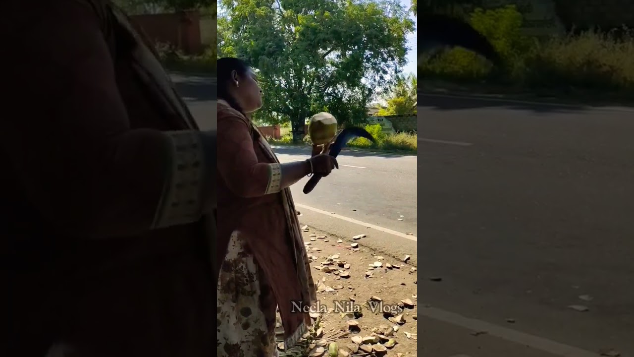 🌴20 ரூபாய் இளநீர் கடை ‼️ இவ்ளோ கம்மிக்கு இங்க இளநீர் குடிக்கலாம் வாங்க🥰 