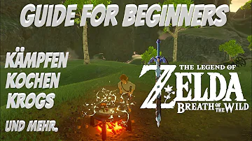 Was muss man am Anfang bei Zelda machen?