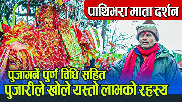 पाथिभरा माताका पुजारीले खोले यस्तो रहस्य, यसरी पुजा गरे सोचे भन्दा धेरै लाभ हुने | Pathibhara Mata