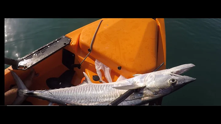 MacK King Fish on Kayak with Okuma Soletra 10 and Sunline on Livebait Dubai صيد الكنعد من الكاياك