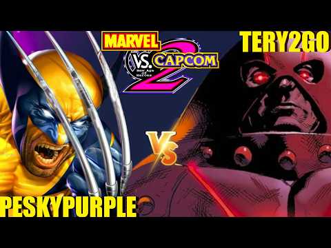 Marvel vs Capcom 2: PESKYPURPLE vs TERY2GO