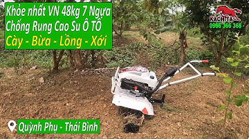 Xạc cỏ xới đất kho cứng bằng máy xới đất siêu chống Rung Kachita tại Quỳnh Phụ Thái Bình
