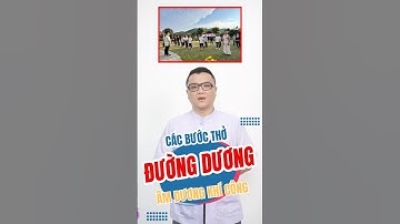 Cách thở đường Dương #amduongkhicong #amduong #khicong #buiquocchau