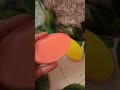 Мыловарение Мыло Геометрия Овал // Soap making Soap Geometry Oval