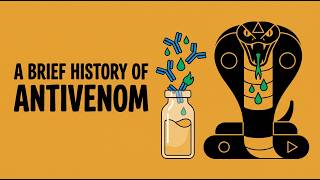 A Brief History of Antivenom