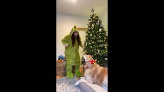 Grinch and Max Costumes