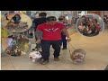 A Primeira vez do Magnata no shopping parte 1 (American bully no shopping será que pode? )