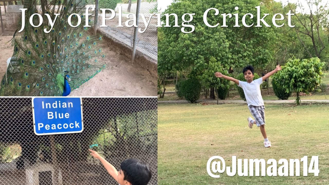 A Fun Day of Sports and Nature Played Cricket and Visited the Zoo