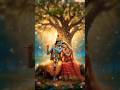 Two Souls, One Divine Heart  Radha Krishna❤️#shortsfeed #bhaktivibes #bhaktishorts #shorts