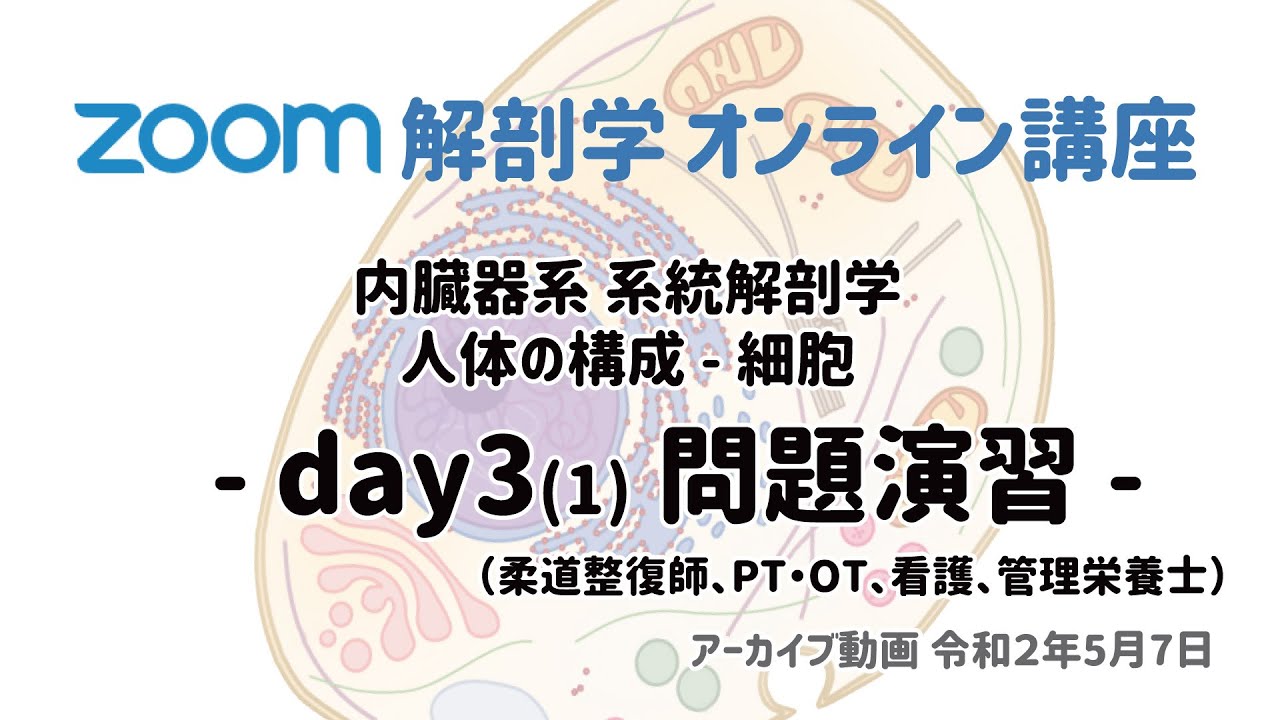 Zoom解剖学 アーカイブ動画まとめ 徹底的解剖学