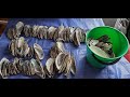 How to process your kutaimussel shell for use