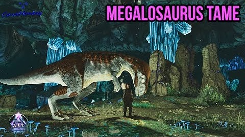 Aberration Megalosaurus Tame