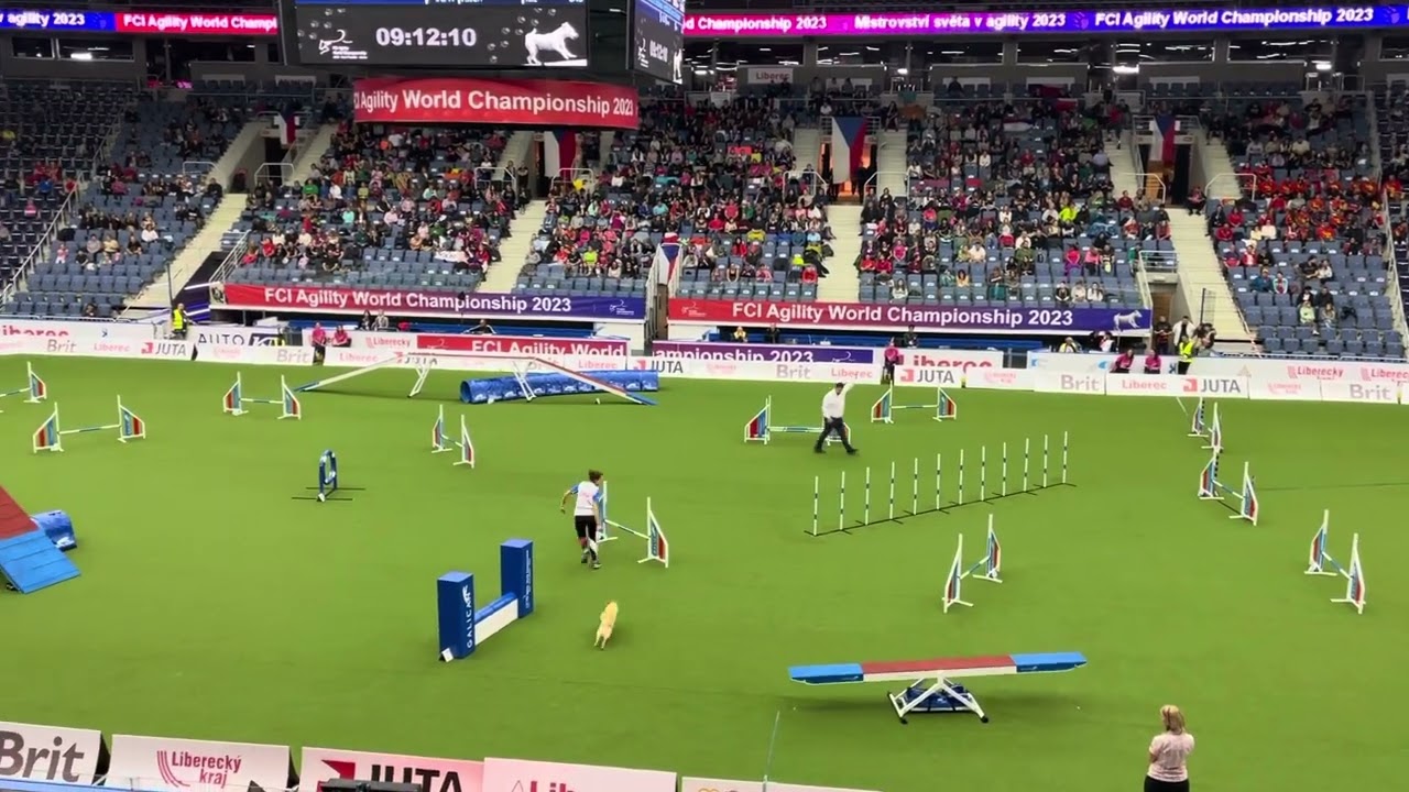 Agility World championship 2023, individual agility , Ronja