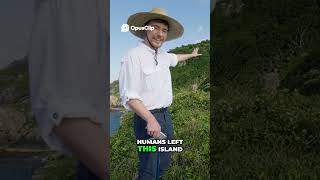 Snake Island_ The Billion Dollar Venom Hunt part 5 #shortvideo #mrbeast