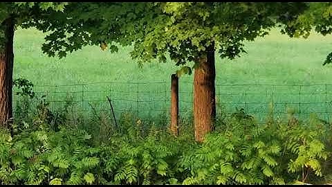 Erik Satie - Gymnopédie No.1 - 10 HOUR  LOOP