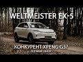 WeltMeister EX-5 полный обзор. Прямой конкурент XPeng G3, создан по патенту Tesla X в 4 раза дешевле