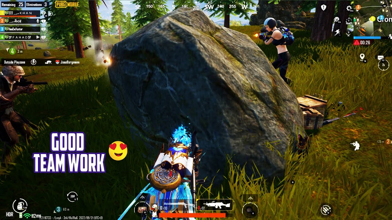 Hard Fight | TeamWork | Chicken  