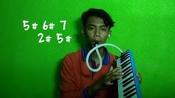 2U - David Guetta ft Justin Bieber [ Melodica/Pianika Cover ] + Number Not by SoftOne_dx  - Durasi: 3:15. 