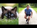 How animals would act if they were people compilation