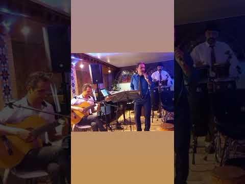 گل واژه هایده