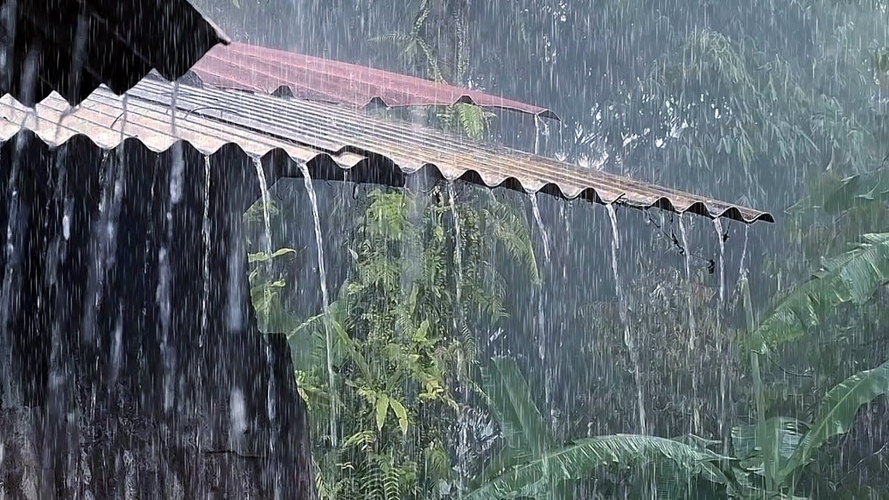 Rain & Thunder Sounds for Sleeping 🌧️ Heavy Storm, Deep Sleep & Stress Relief