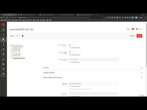 Magento 2.3.4: Get URL Key in different store views