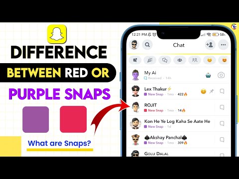Difference Between Red Snap And Purple Snap | What Are Snaps