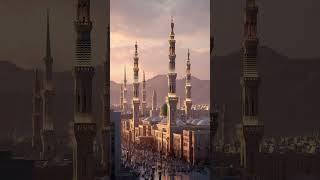 Tary sher may may ao #islamicshorts #islamicvideo