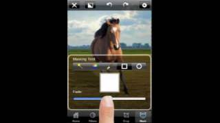 Gradual color fading on a horse picture with PhotoWizard screenshot 5