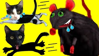 Gato escapa del laberinto de la rata gigante con Luna y Estrella en Cheese Escape Roblox en español