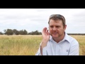 Ben Biddulph: What is frost and Contributing factors | Department of Agriculture and Food WA