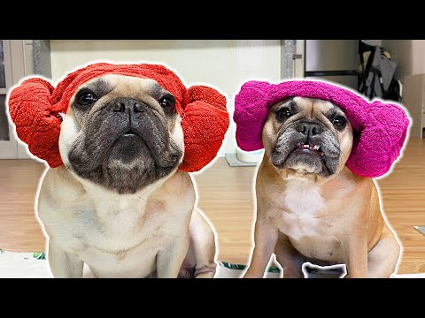 DOG BATH TIME JUST GOT HECKING CUTE | How To Make Our Doggo Head Towels