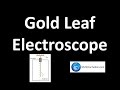 Understanding Nuclear Radiation Detection