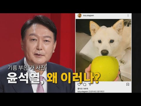 [나이트포커스] 기름 부은 &rsquo;개 사진&rsquo;...윤석열, 왜 이러나 / YTN