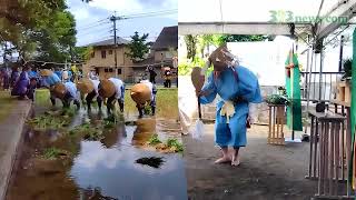 鹿児島神宮お田植え祭