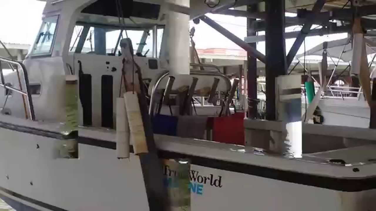 2002 28 True World Marine YouTube 2002-28-true-world-marine-youtube