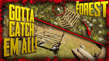 How to Catch Rabbits & Use the Animal Trap | The Forest
